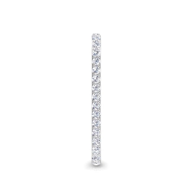Pavé-All-Day Vertical Crawler