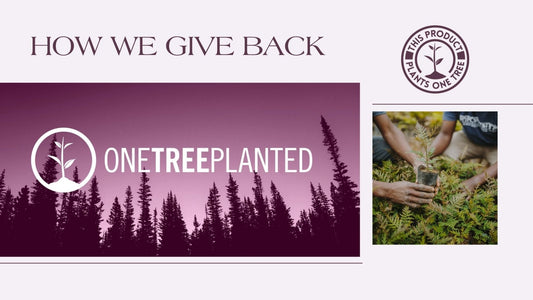 Seed2Stone Gives Back to the Environment - Seed2Stone.com